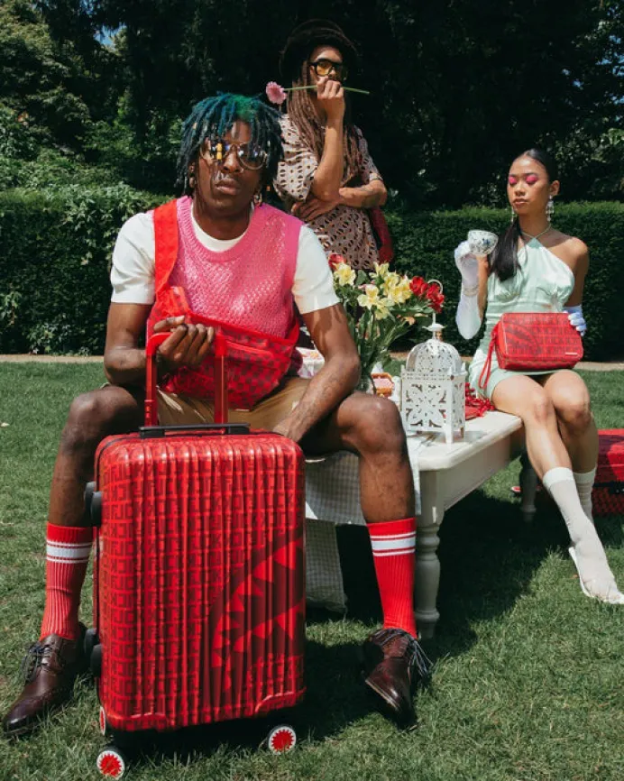 VENI VIDI VICI LUGGAGE